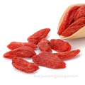 High quality natural berries goji